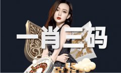 正版材料大全全年2小说