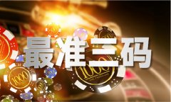 小龙人免费料网坐